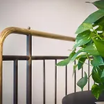 Zuara9room 4* רימיני